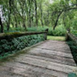 Meet your Posher, Deanna